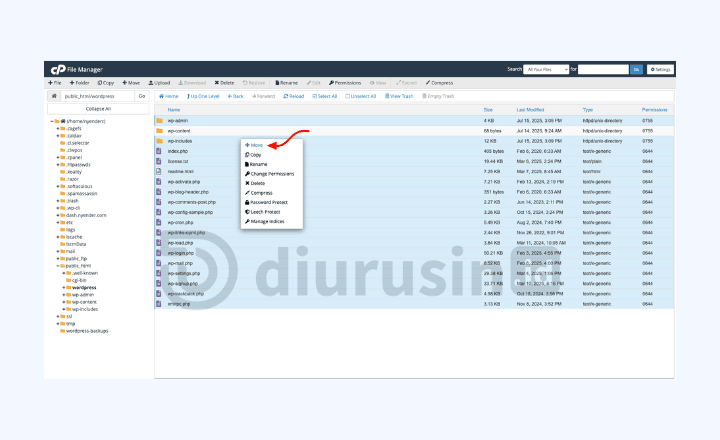 Move core WordPress baru